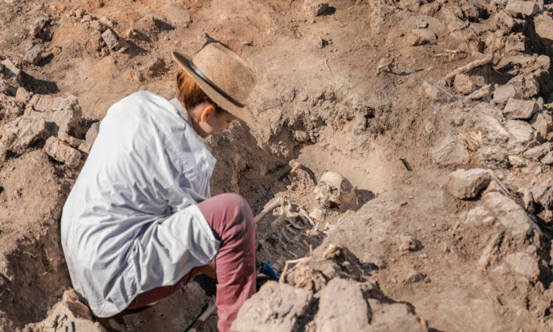 Тени прошлого: следы скрыты в генах