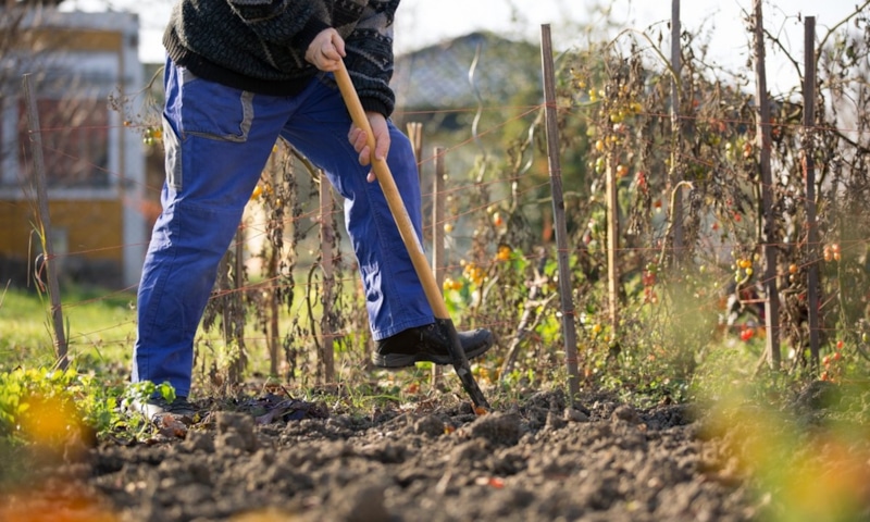 Живая почва: скрытая сила структуры
