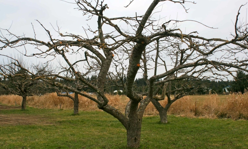 Скрытая сила ухода: защита через простые решения