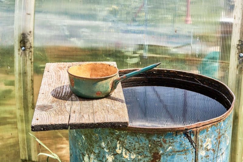 Естественный баланс тепла: защита растений ночью