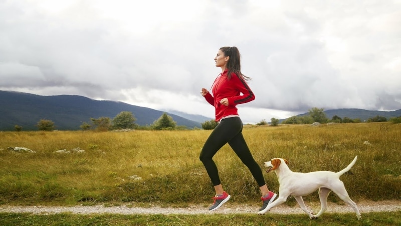 Бег и здоровье: энергия движения Бег и здоровье: энергия движения