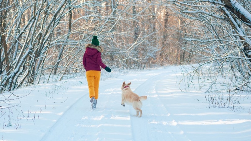 Древний вирус: смертельная неизбежность Древний вирус: смертельная неизбежность