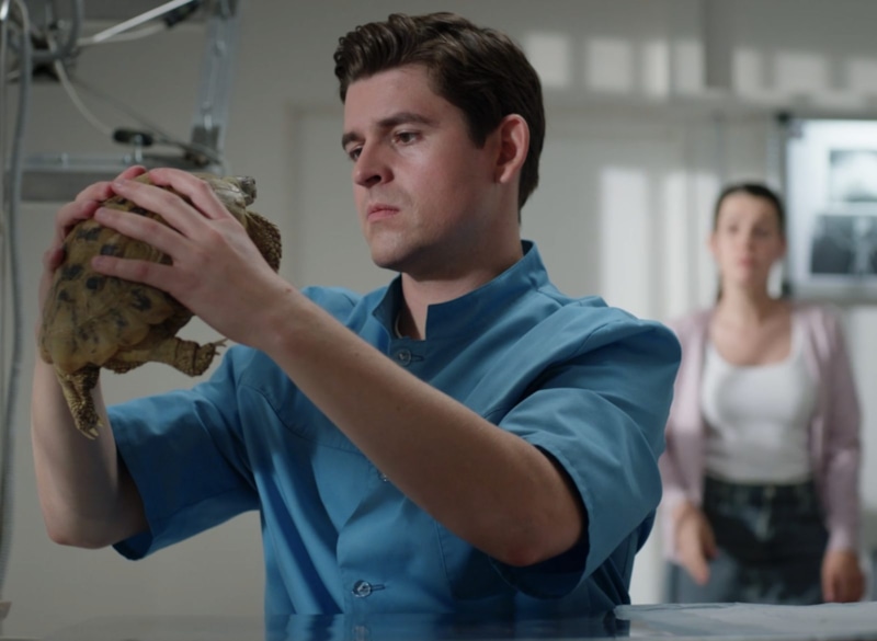 Кадр из сериала «Мои звери»