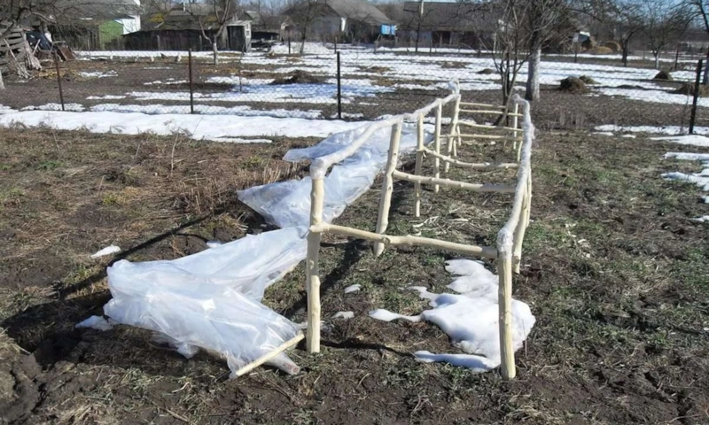 Весна задает правила: результат рождается сейчас