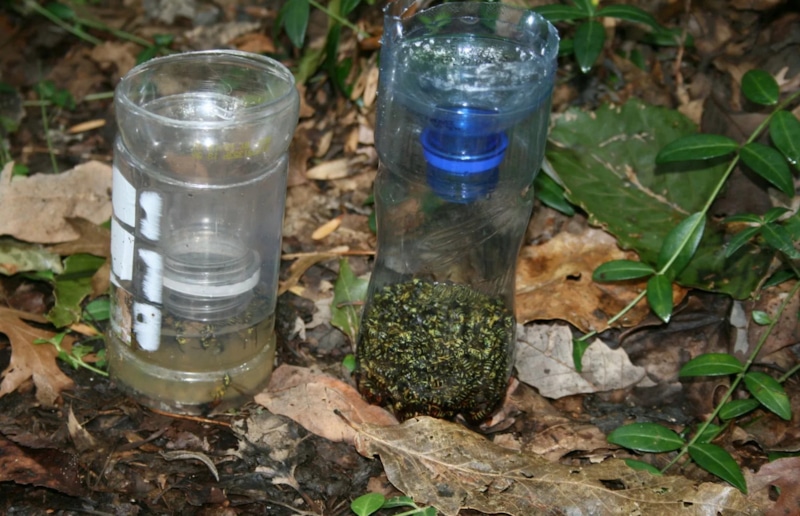 Нежеланное соседство природы: баланс без конфликта