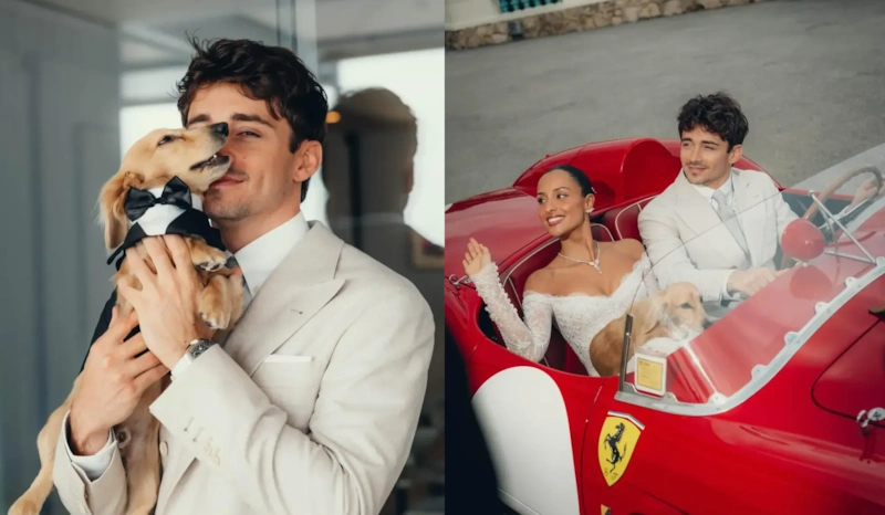 Шарль Леклер женился и нарядил собаку в смокинг Шарль Леклер женился и нарядил собаку в смокинг