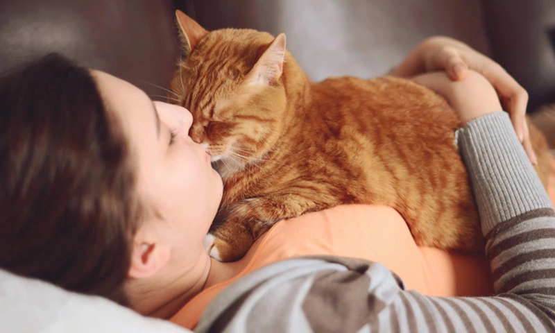 Инстинкт сильнее привязанности: жесткая правда выживания