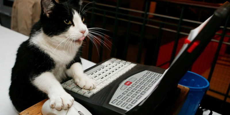 Правда среди слов: как распознать фальшивый отзыв