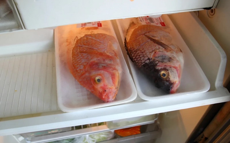 Холодная ловушка кухни: сохранение вкуса и пользы