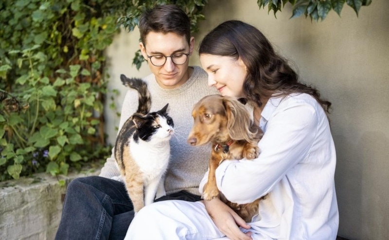 Тепло рядом: влияние питомцев на человека