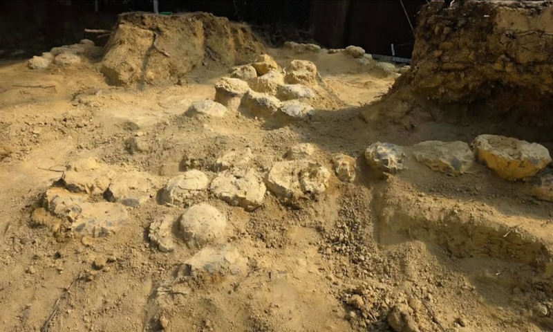 Следы древности: жизнь до катастроф