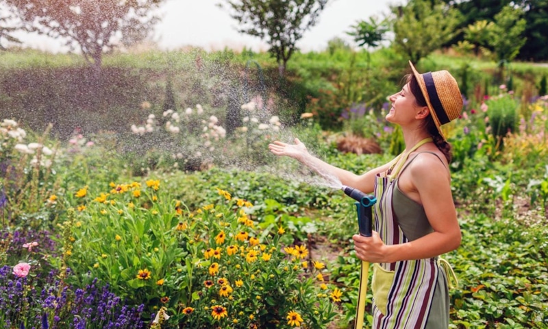 Быстрый старт: цветение без ожидания