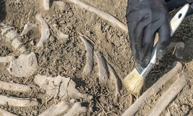 Следы исчезнувших цивилизаций: прошлое меняет картину