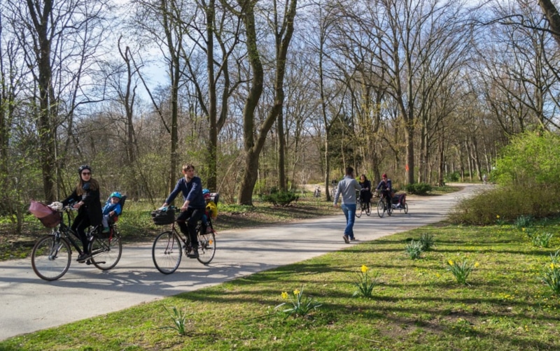  Сила природы в движении: энергия приходит быстро