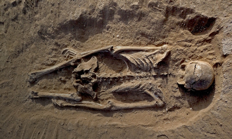 Память сквозь века: древние ритуалы смысла