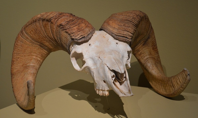 Тайны древнего мира: открытие меняет картину прошлого Тайны древнего мира: открытие меняет картину прошлого