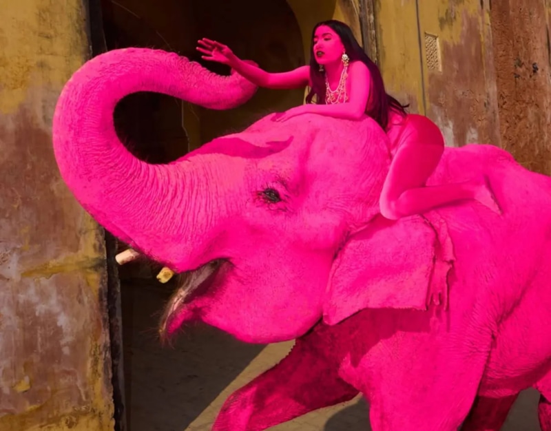 Владелец слонихи Шадик Хан попытался заступиться за россиянку после скандала