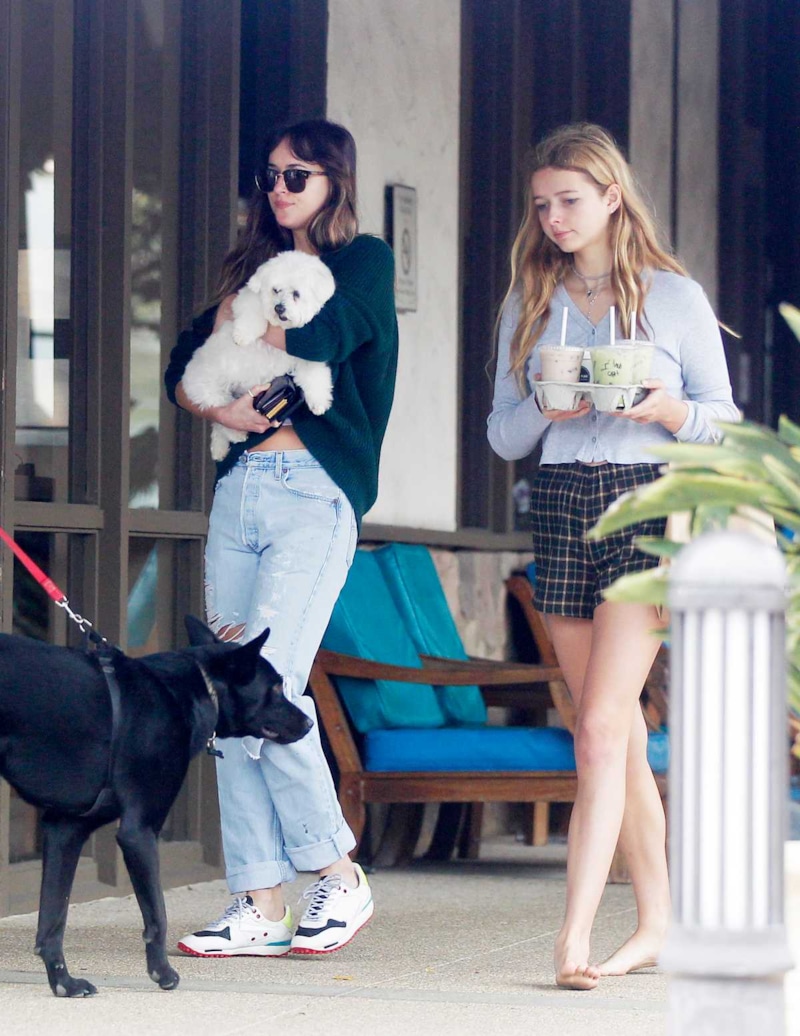 Эппл Мартин и Дакота Джонсон