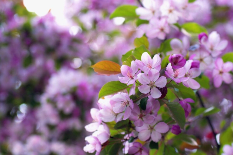 Язык природы: скрытые майские подсказки