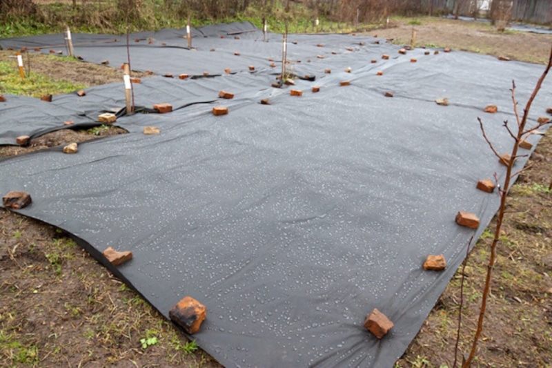 Тепло для роста: земля требует подготовки