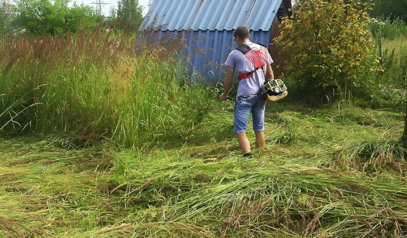 Хаос пространства: рождение порядка