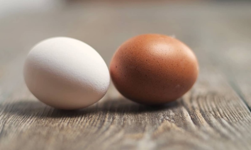 Иллюзия выбора: цвет не решает