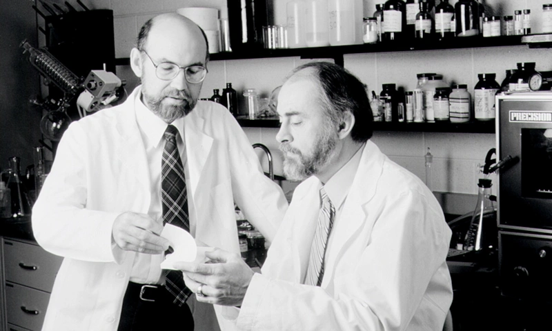 Случайная идея: путь к массовому признанию