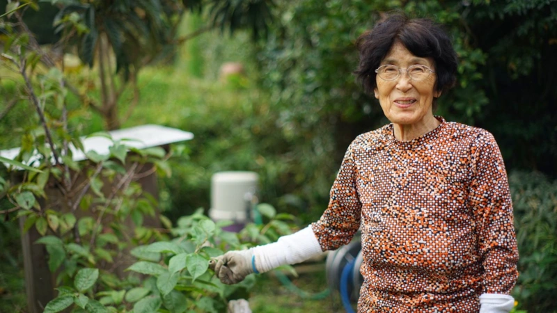 Внутренний баланс: энергия и обновление