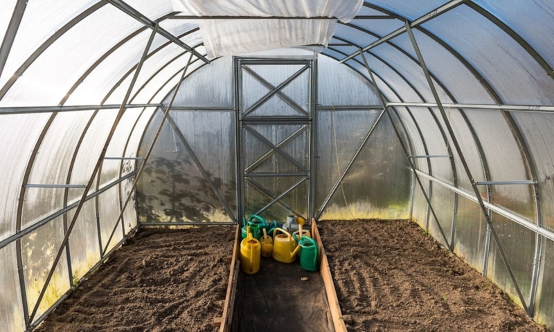 Урожай под контролем: подготовка грунта