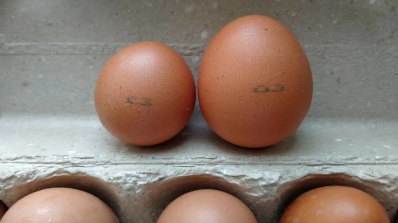 Неочевидный выбор продуктов: важнее, чем кажется Неочевидный выбор продуктов: важнее, чем кажется