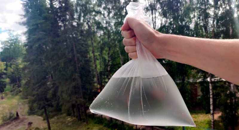 Неочевидная защита растений: свет против вредителей Неочевидная защита растений: свет против вредителей