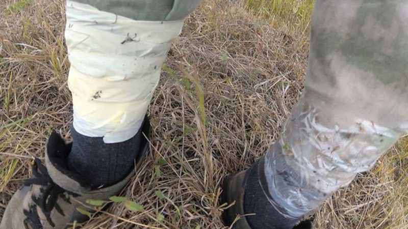 Хитрость против угрозы: защита в деталях