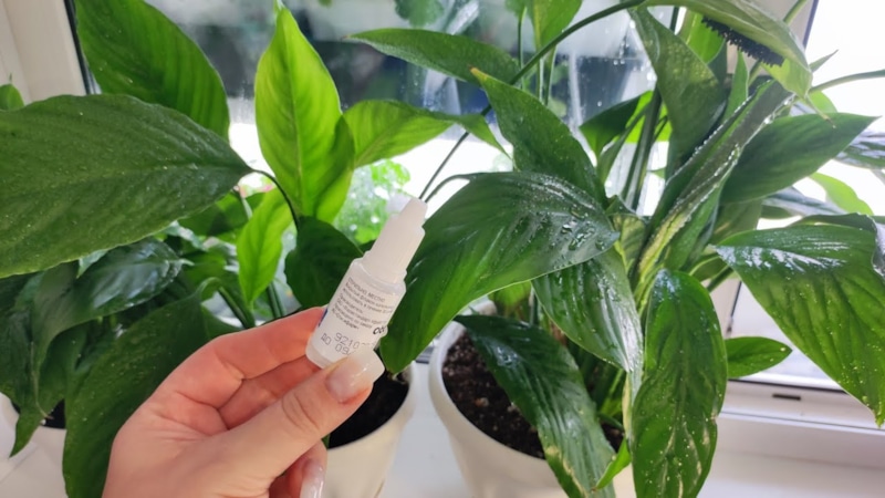 Скрытый потенциал роста: стимул для цветения