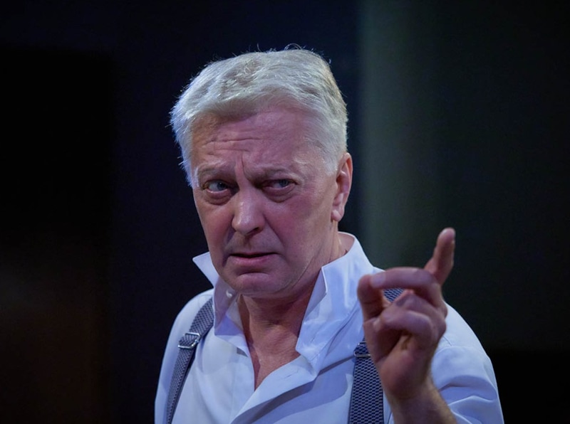 Дмитрий Ячевский в театре