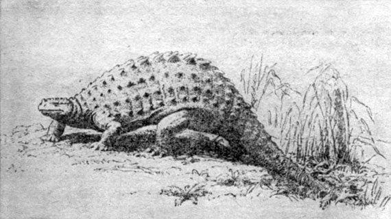 Динозавры Константина Флёрова Динозавры Константина Флёрова