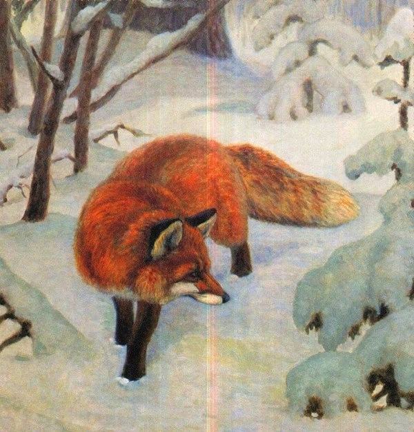 Картины животных Константина Флёрова Картины животных Константина Флёрова