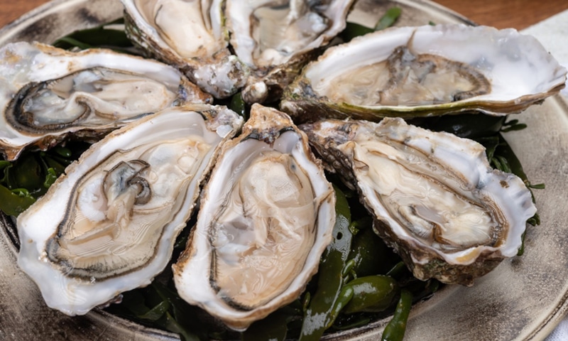 Сила природы: прочность через структуру Сила природы: прочность через структуру