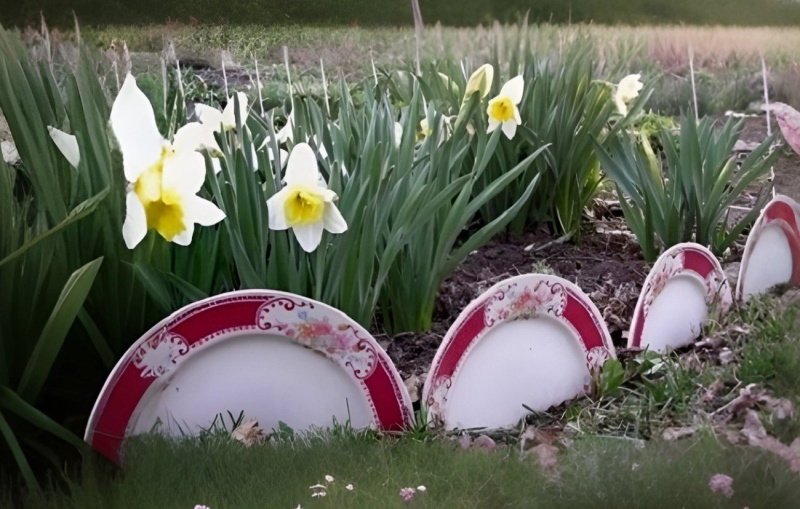 Старая посуда легко превращается в полезные и декоративные вещи