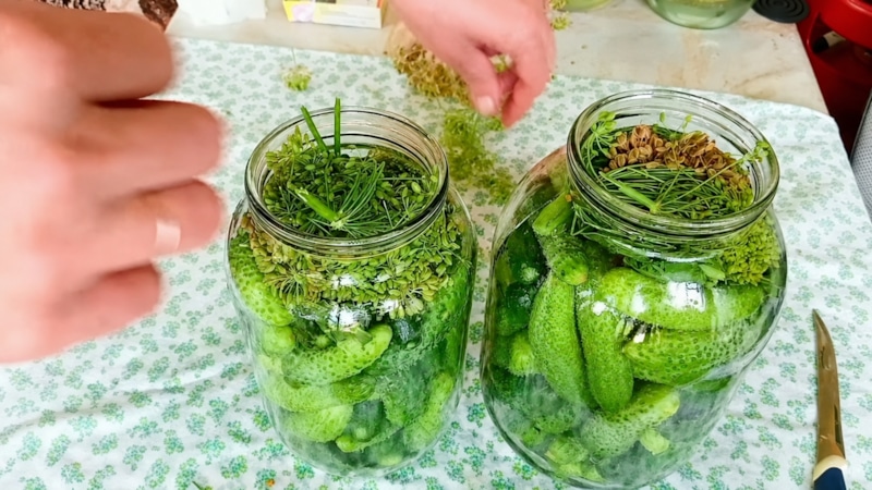 Хрустящие огурцы маринуют с замачиванием, специями и листьями