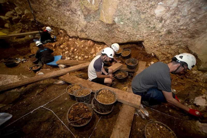 Кости Homo antecessor в Испании сохранили следы разделки каменными орудиями Кости Homo antecessor в Испании сохранили следы разделки каменными орудиями