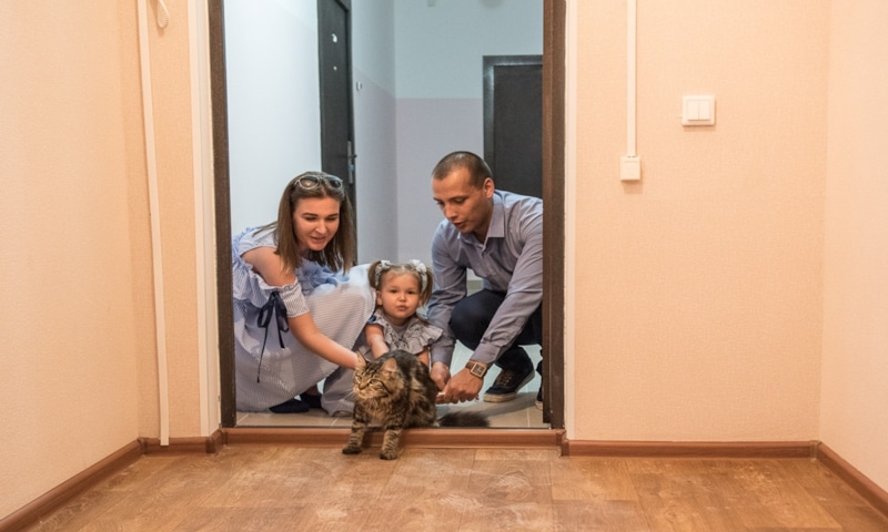 Кошку первой впускают в новый дом как символ уюта и защиты
