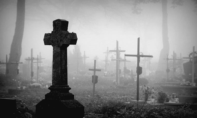 Эффект дня рождения связывают со стрессом, алкоголем и хроническими болезнями