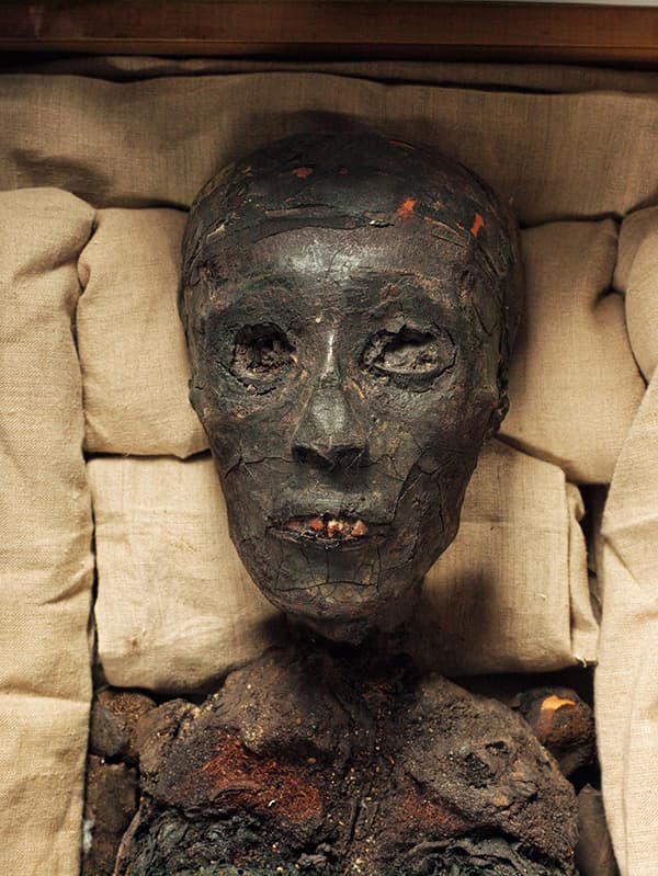 Настоящая мумия Тутанхамона