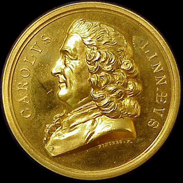 Медаль Карла Линнея