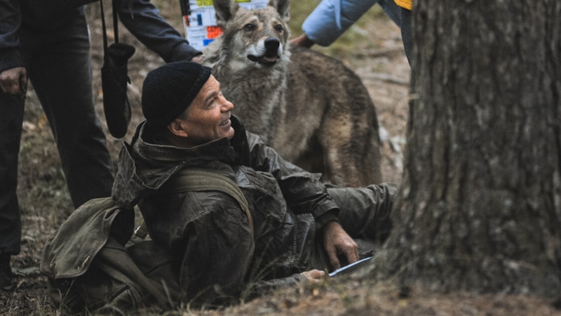 Сергей Маховиков в роли Константина в сериале «Точка ноль»